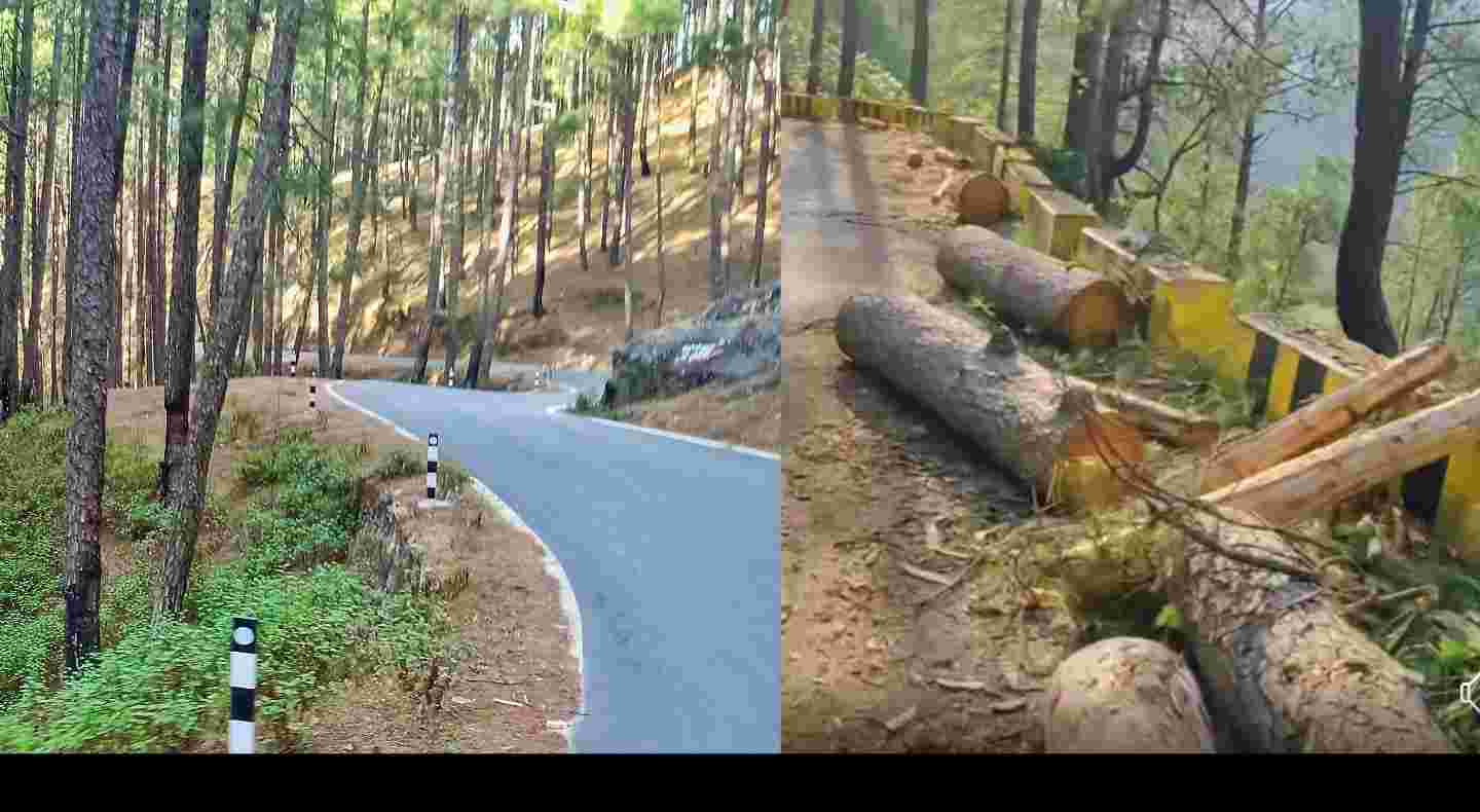 Almora takula Bageshwar road construction