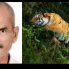 Uttarakhand news:Tiger attack a old man in chakarpur khatima the body found in bush