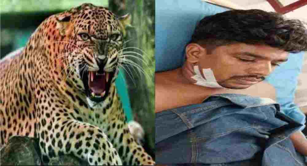 Champawat guldar attack News tanakpur teacher