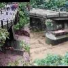 Uttarakhand news: Almora mohan bridge collapse| Ranikhet ramnagar mohan bridge