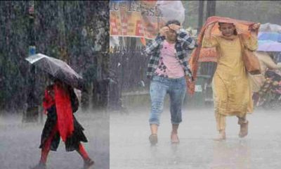 Uttarakhand news: uttarakhand rain yellow alert in 5 district|Uttarakhand weather Update News