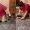 Haridwar latest news viral video