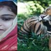 Tina of Ramnagar nainital tiger attack news today