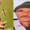 honey bee bite Bheem Singh rawat died in Jeolikote nainital