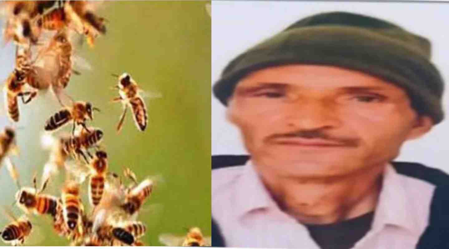 honey bee bite Bheem Singh rawat died in Jeolikote nainital