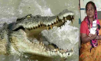 Uttarakhand crocodile attack khatima udham Singh Nagar