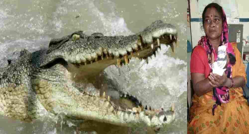 Uttarakhand crocodile attack khatima udham Singh Nagar