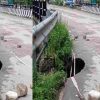 Gangotri Highway bridge news