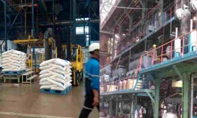 Uttarakhand sugar Mill job