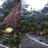 Kaladhungi Nainital Highway news