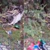 Champawat road max accident today