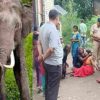 uttarakhand-news-7-year-old-girl-died-due-to-elephant-attack-in-balawala-dehradun