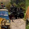 Corbett National Park safari zone