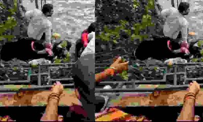 Nainital viral video latest news today