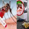 Uttarakhand Dengue Alert 2024