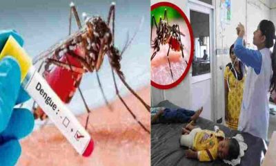 Uttarakhand Dengue Alert 2024