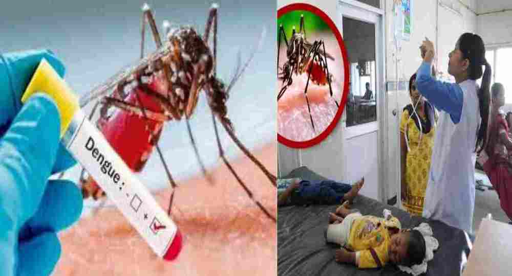 Uttarakhand Dengue Alert 2024