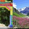 Uttarakhand: valley of flowers closing dates 2024 Chamoli