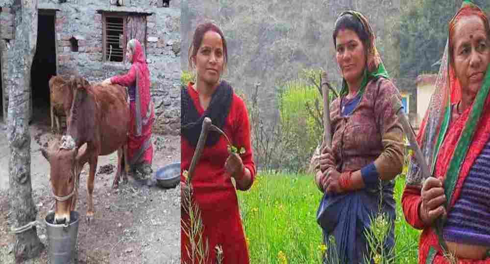 UCC Property rules in uttarakhand
