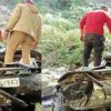 Bhowali car accident today