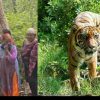 Ramnagar tiger attack in dhikuli village Jim Corbett tiger reserve area