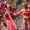 Tehri Garhwal pregnant woman news today