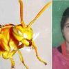Bageshwar latest news today