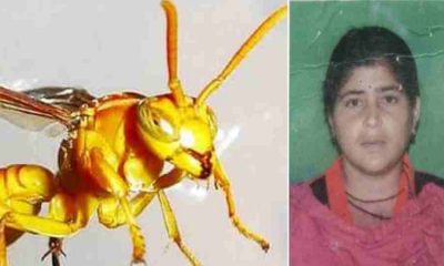 Bageshwar latest news today