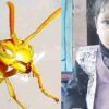 Tataiya attack Uttarkashi News