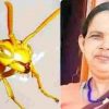 Pithoragarh Tataiya attack today