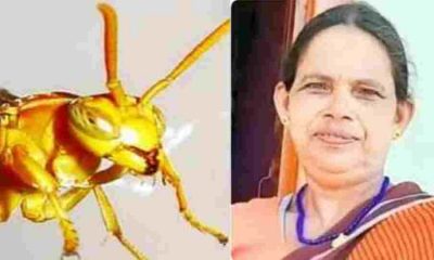 Pithoragarh Tataiya attack today