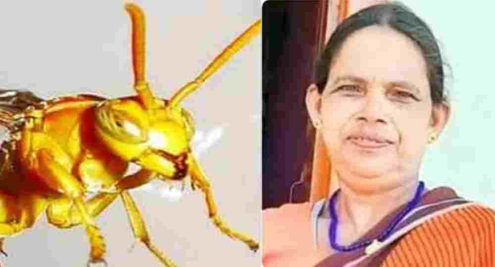 Pithoragarh Tataiya attack today