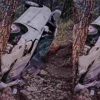 jeolikote Nainital accident news after kainchi dham return time jeolikote Nainital accident news devbhoomi Darshan