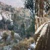 Nainital snowfall 2024