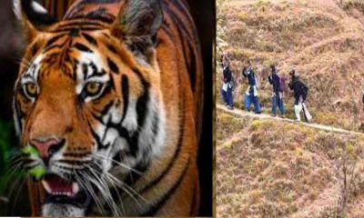 Pauri Garhwal school closed