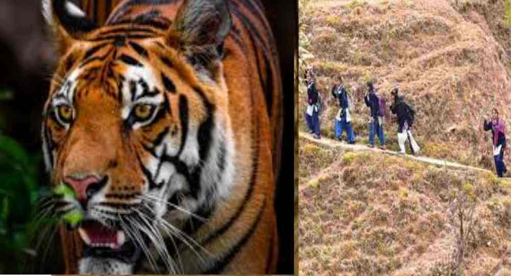 Pauri Garhwal school closed