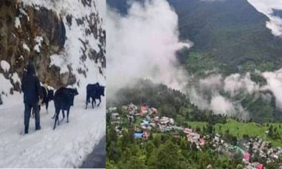 Uttarakhand weather update cold wave alert today