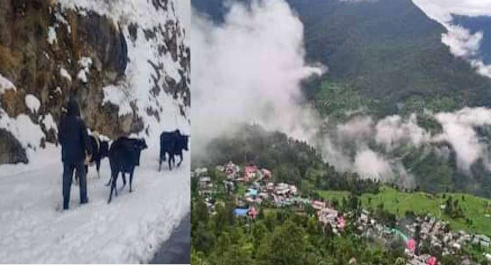 Uttarakhand weather update cold wave alert today