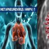china HMPV virus Full form alert news in Hindi