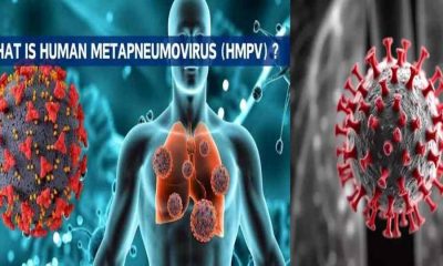 china HMPV virus Full form alert news in Hindi