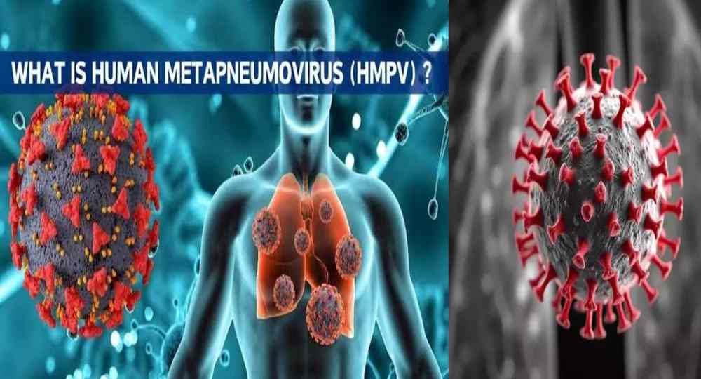 china HMPV virus Full form alert news in Hindi