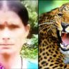 Shanti Devi Betalghat guldar attack today nainital news