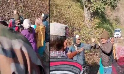 Betalghat guldar tiger attack latest news today