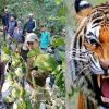 Ramnagar tiger attack today nainital latest news