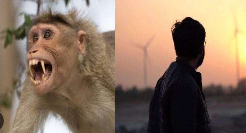 Tehri Garhwal monkey attack news live today