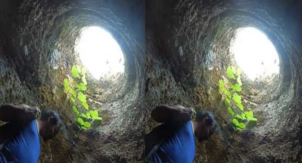 thal muwani old tunnel news Pithoragarh