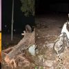 sagar Negi Haldwani scooty car accident news today