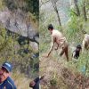 Uttarkashi bike accident news today