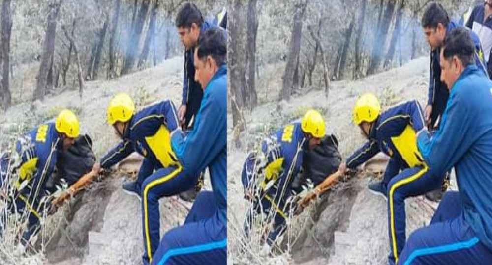 Tehri garhwal accident today