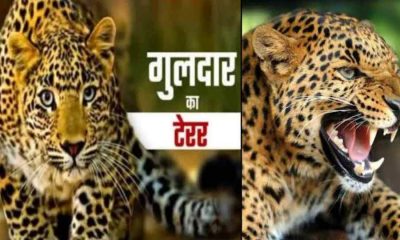 Ramnagar guldar attack today